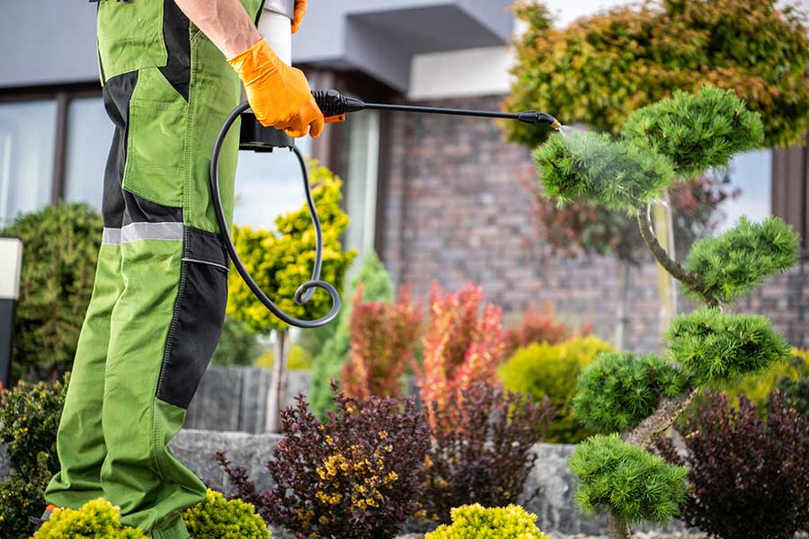 Insect Control